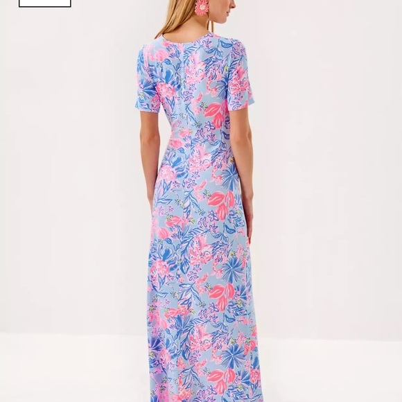 NWT $168 Lilly Pulitzer XL Chace Maxi Dress in “Elephant Splash” - Picture 3 of 9
